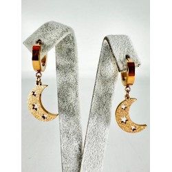 Rose Simli Ay Detaylı Küpe